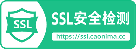 SSL证书安全检测